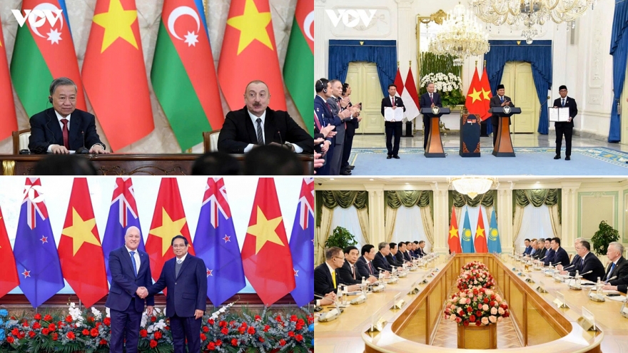 Vietnam upgrades and deepens partnerships with 11 countries in first 7 months